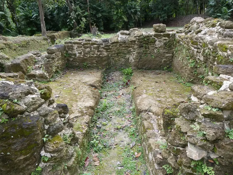 P1011514.JPG