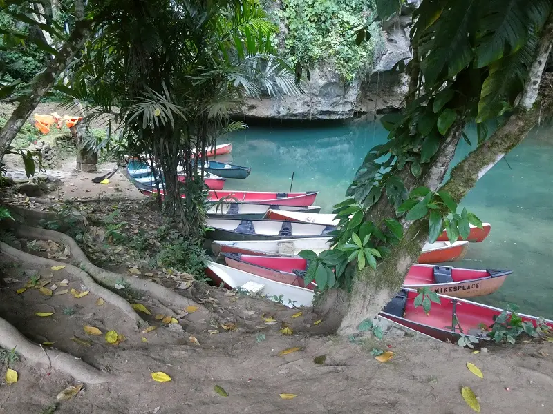 P1011544.JPG