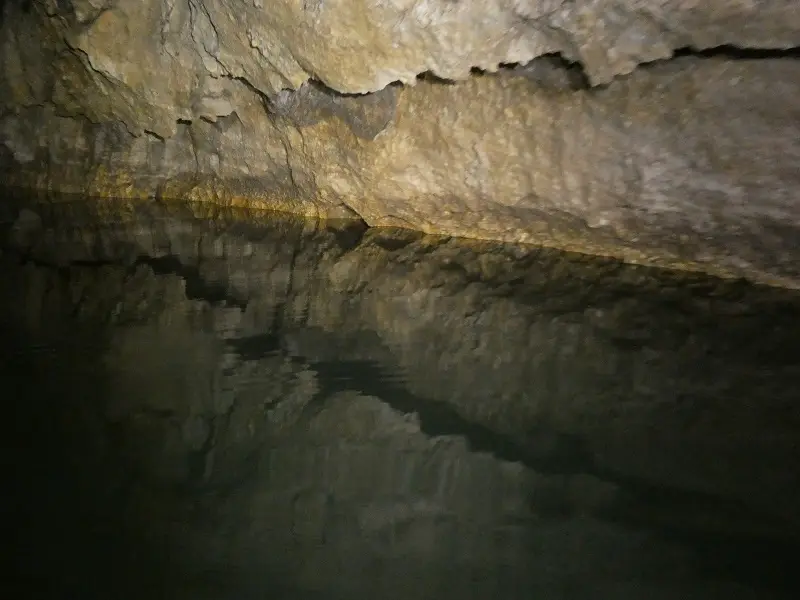 P1011588.JPG