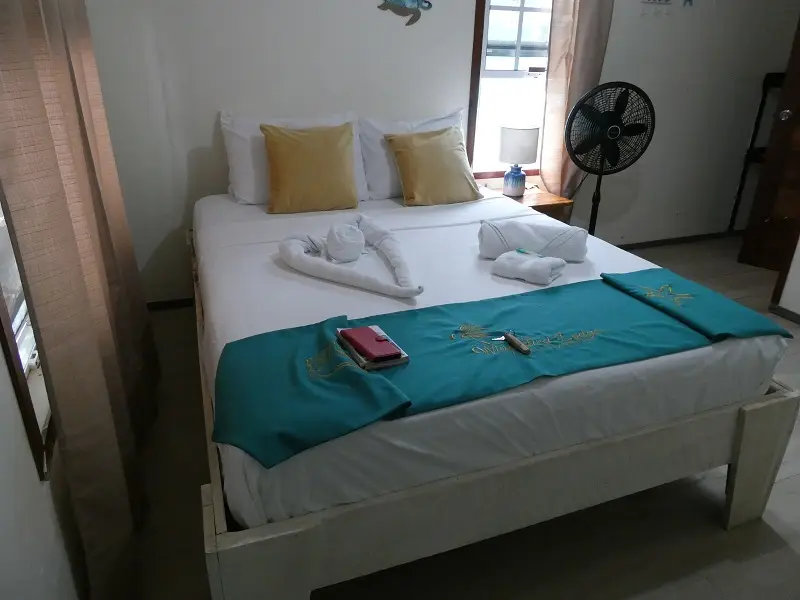 P1011695.JPG