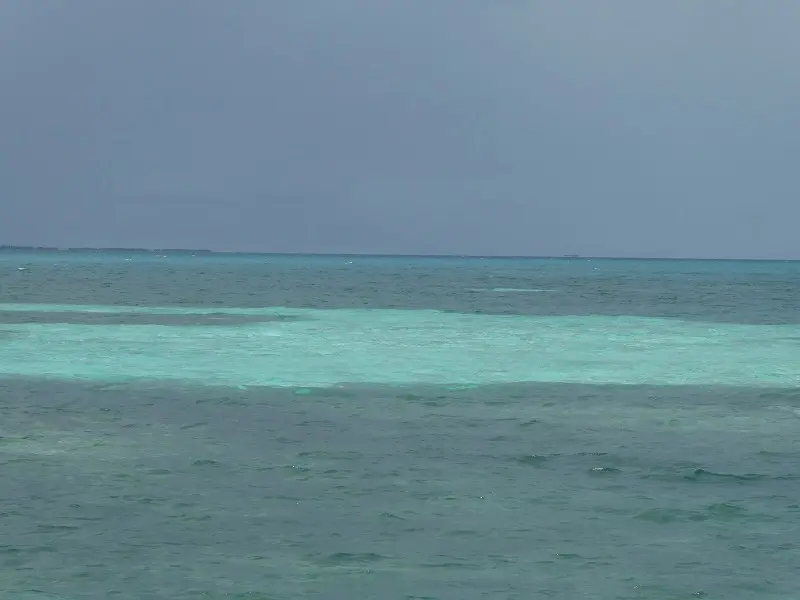 P1011739.JPG