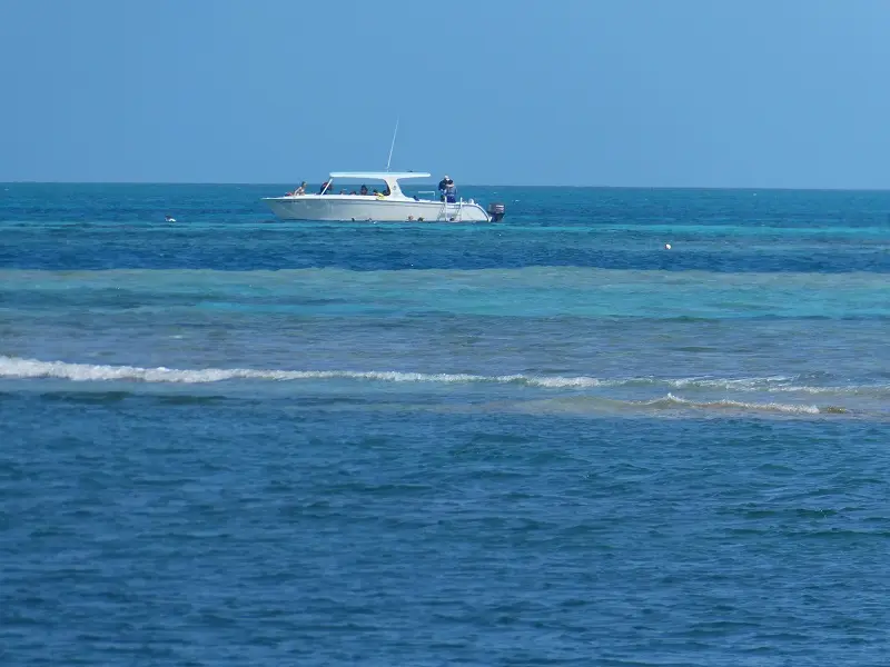 P1011762.JPG