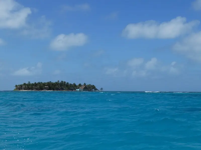 P1011769.JPG