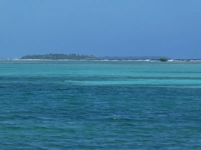 P1011779.JPG