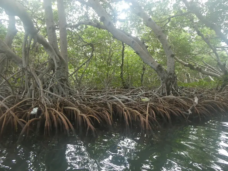 P1011815.JPG