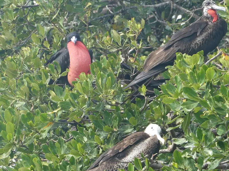 P1011865.JPG