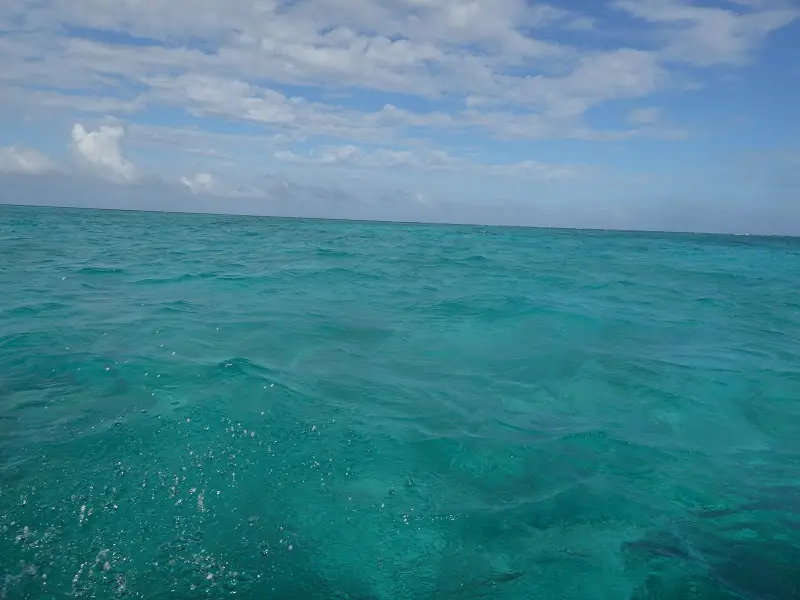 P1011876.JPG