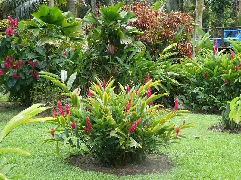 P1012008.JPG