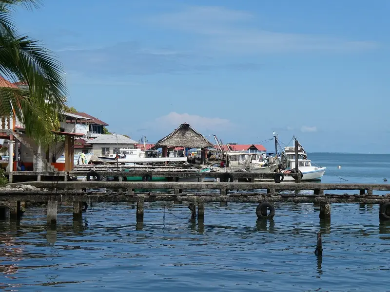 P1012012.JPG