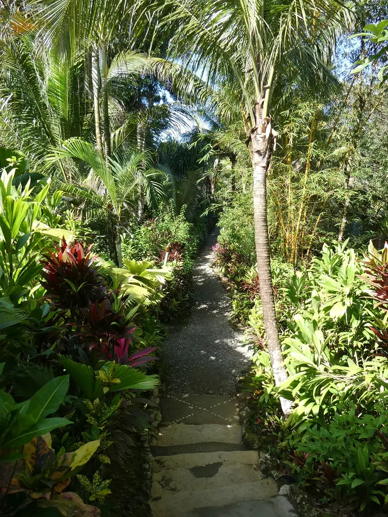 P1012131.JPG