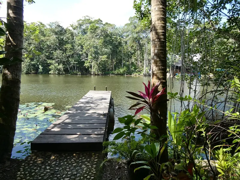 P1012141.JPG