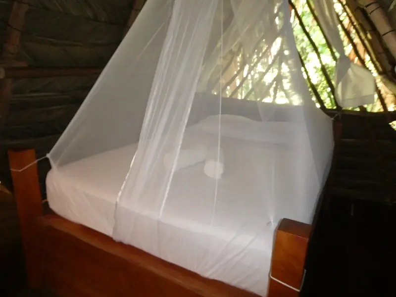 P1012145.JPG