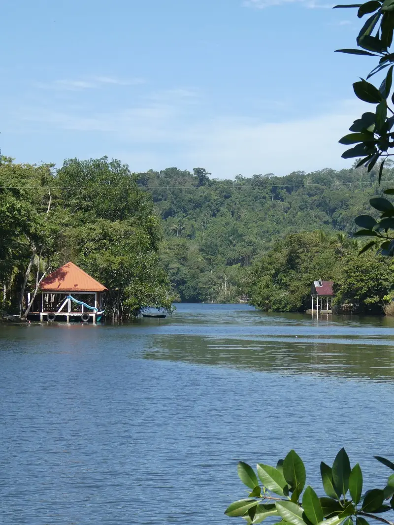 P1012146.JPG