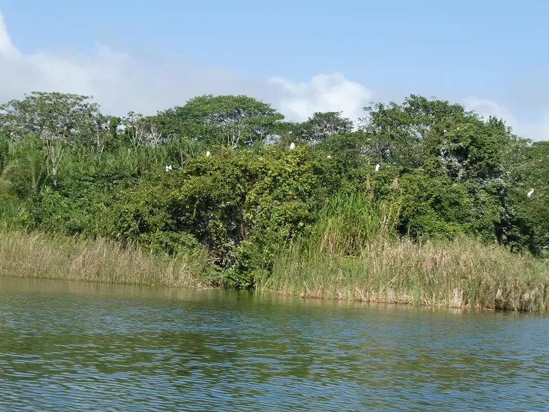 P1012233.JPG