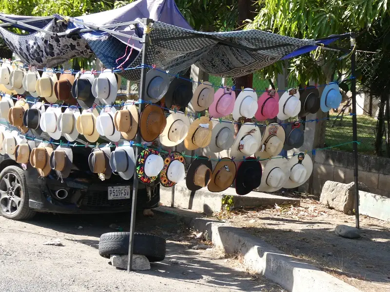 P1012266.JPG