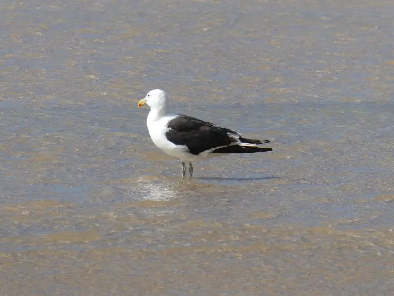 P1013950.JPG