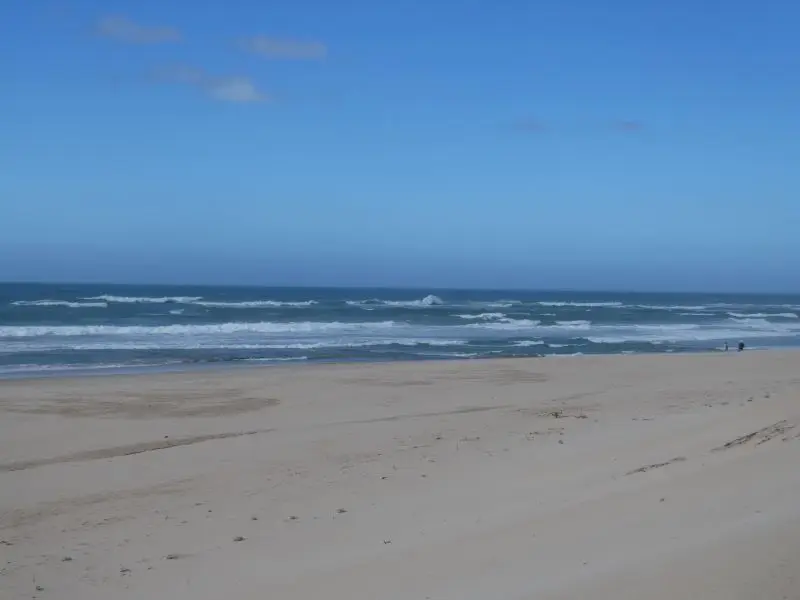 P1013954.JPG