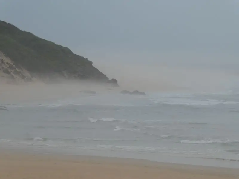 P1013995.JPG