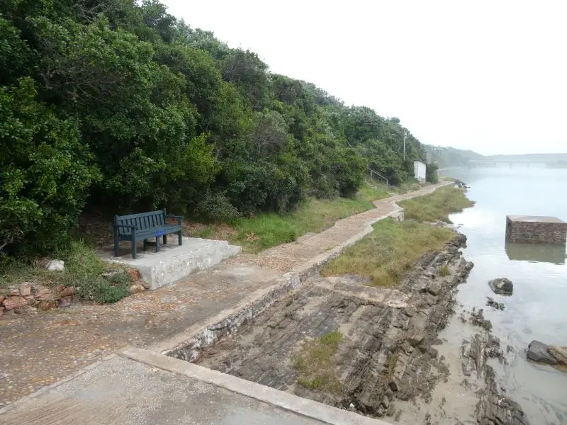 P1013996.JPG