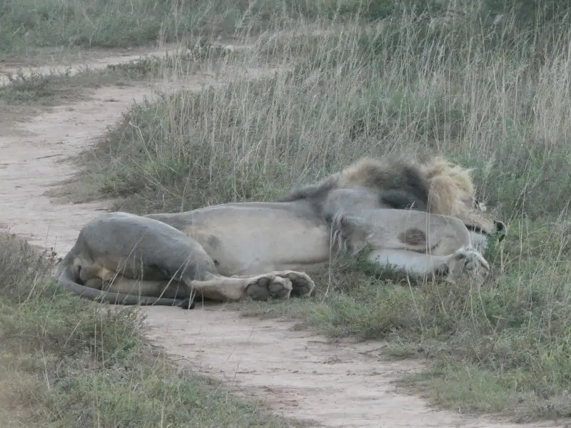 P1014170.JPG