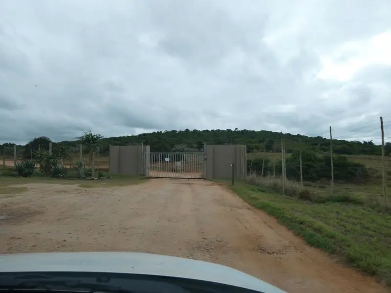 P1014202.JPG