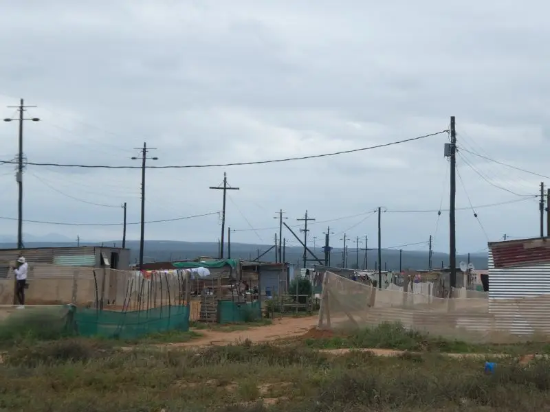 P1014220.JPG
