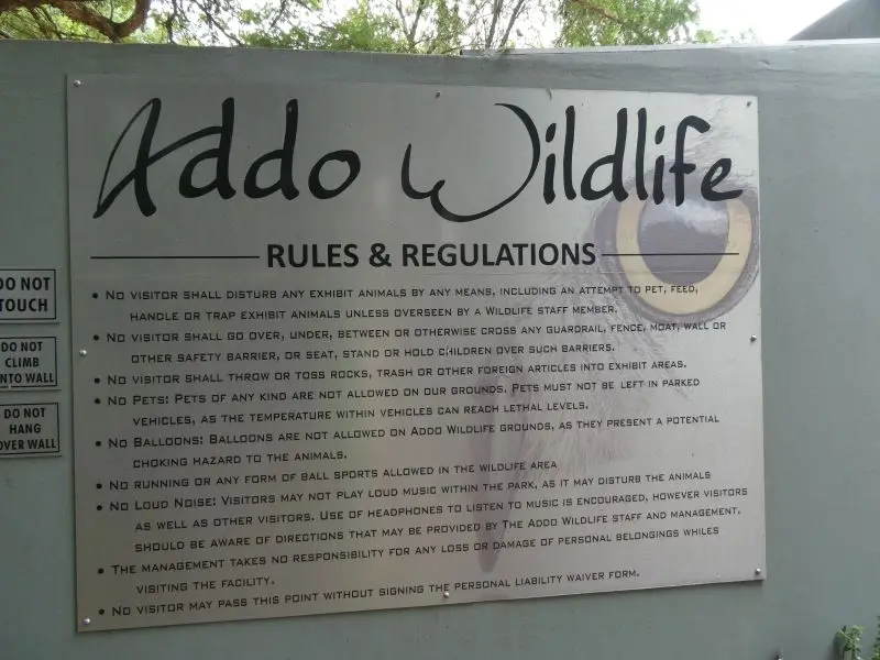 P1014225.JPG
