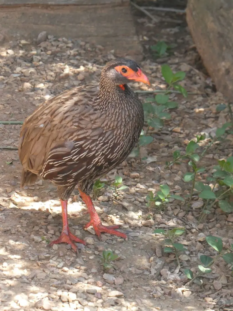 P1014405.JPG