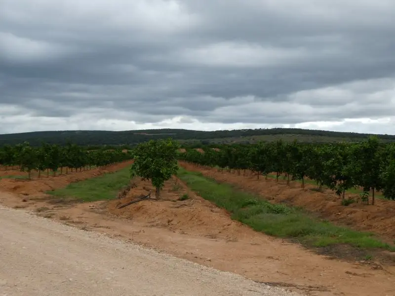 P1014442.JPG
