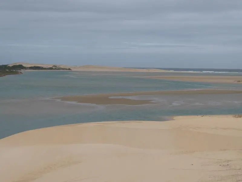 P1014482.JPG