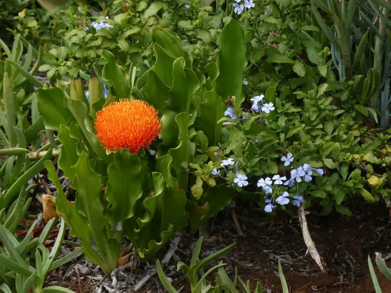 P1014517.JPG