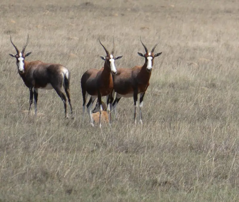 P1014547.JPG