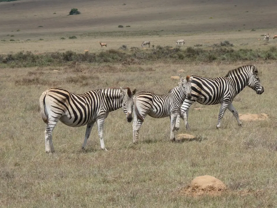 P1014551.JPG