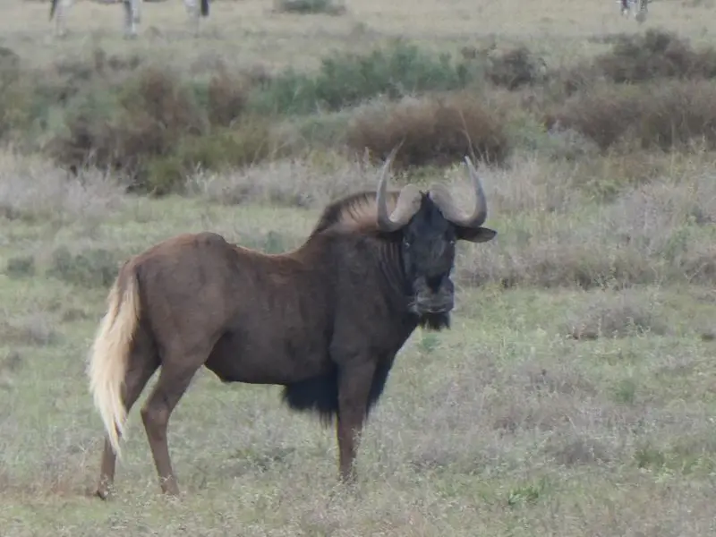 P1014554.JPG