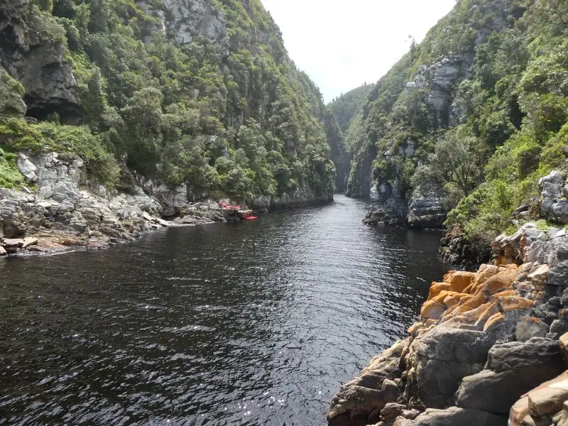P1014617.JPG