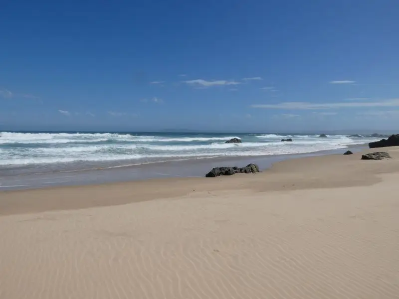 P1014633.JPG