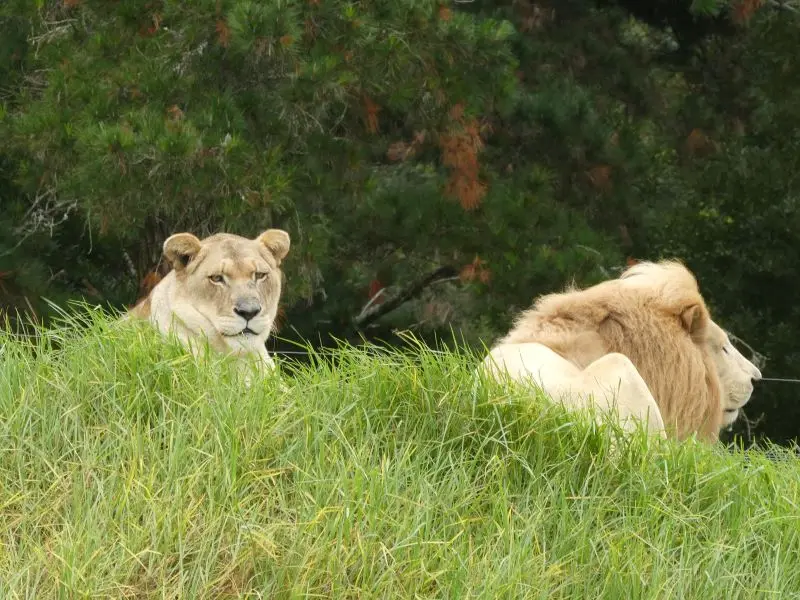 P1014643.JPG