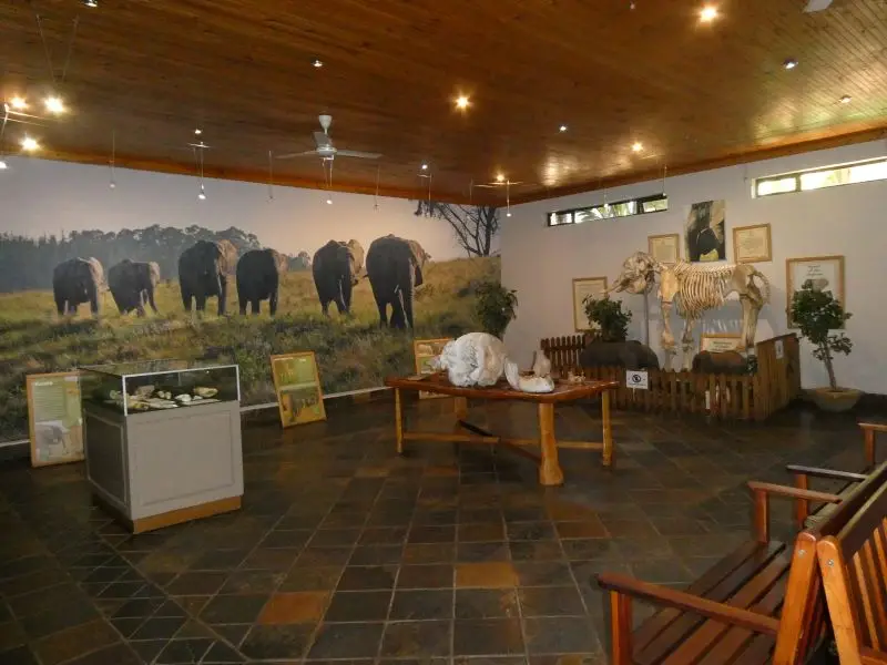 P1014715.JPG