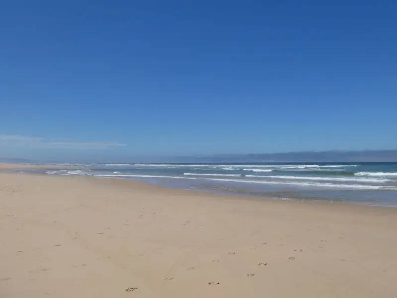 P1014717.JPG
