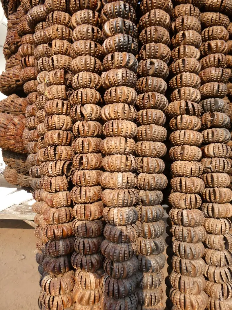 P1015014.JPG