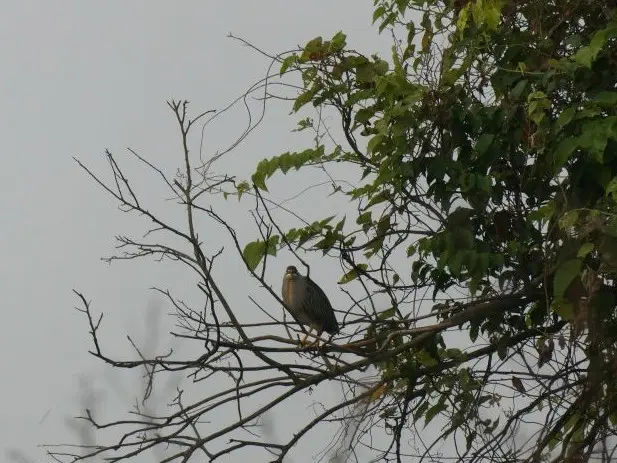 P1015911.JPG