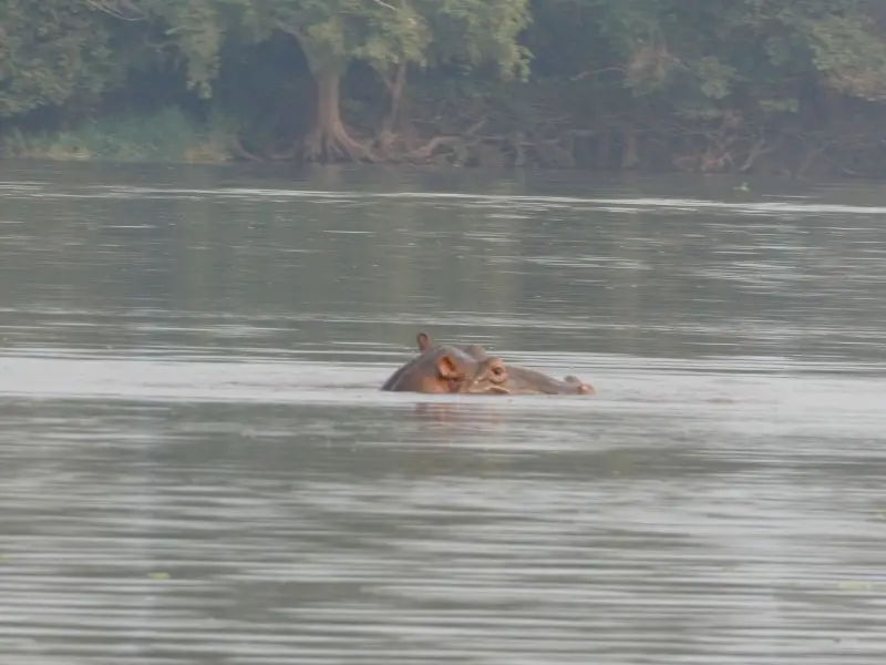 P1015934.JPG