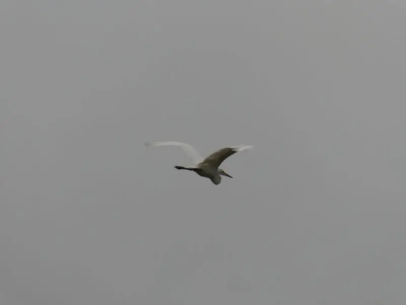 P1016435.JPG