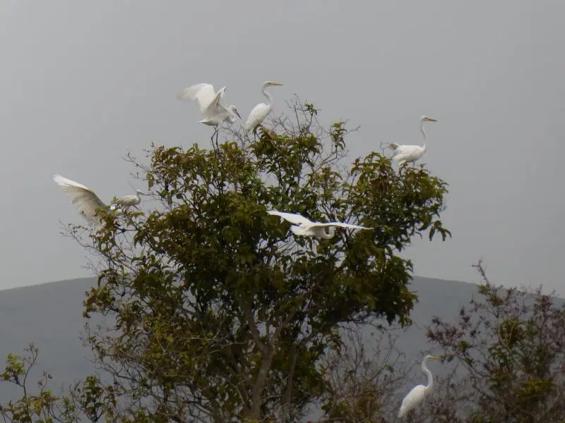 P1016436.JPG