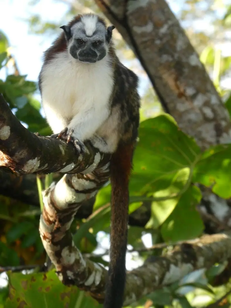 P1026631-2.JPG