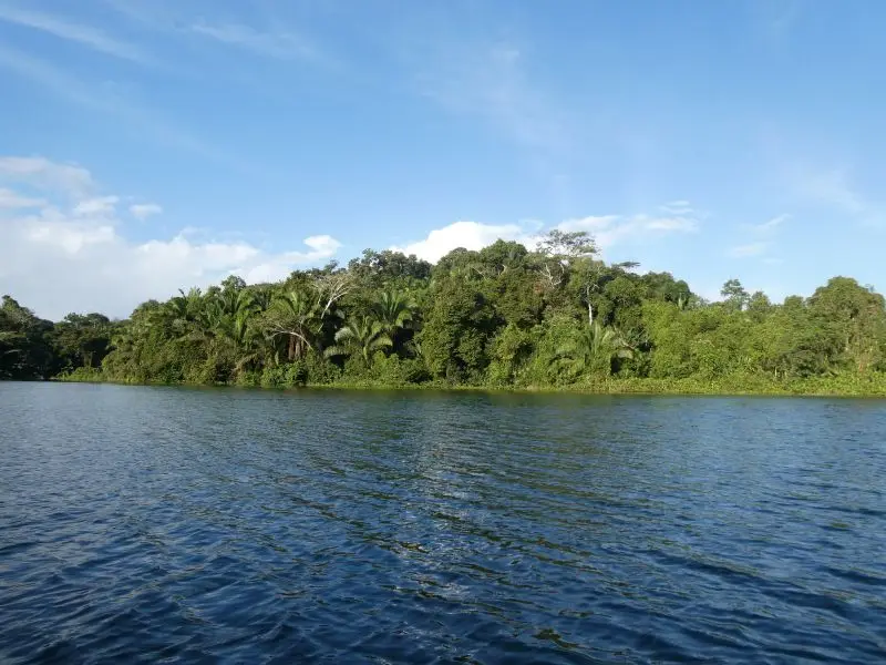 P1026641.JPG