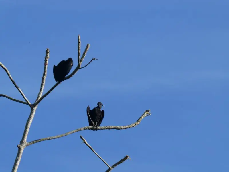 P1026662.JPG