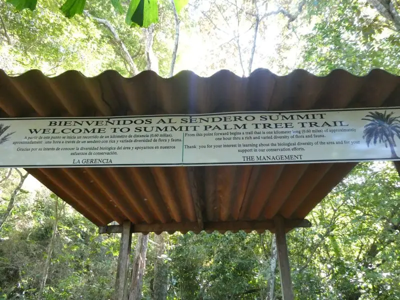 P1026730.JPG