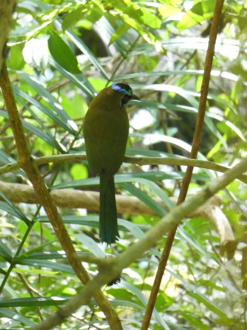 P1026744.JPG