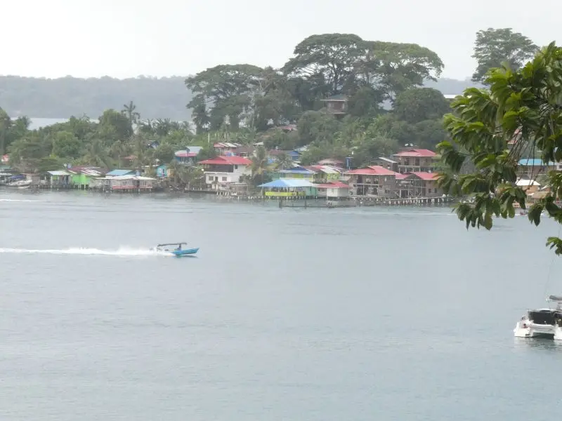 P1026913.JPG